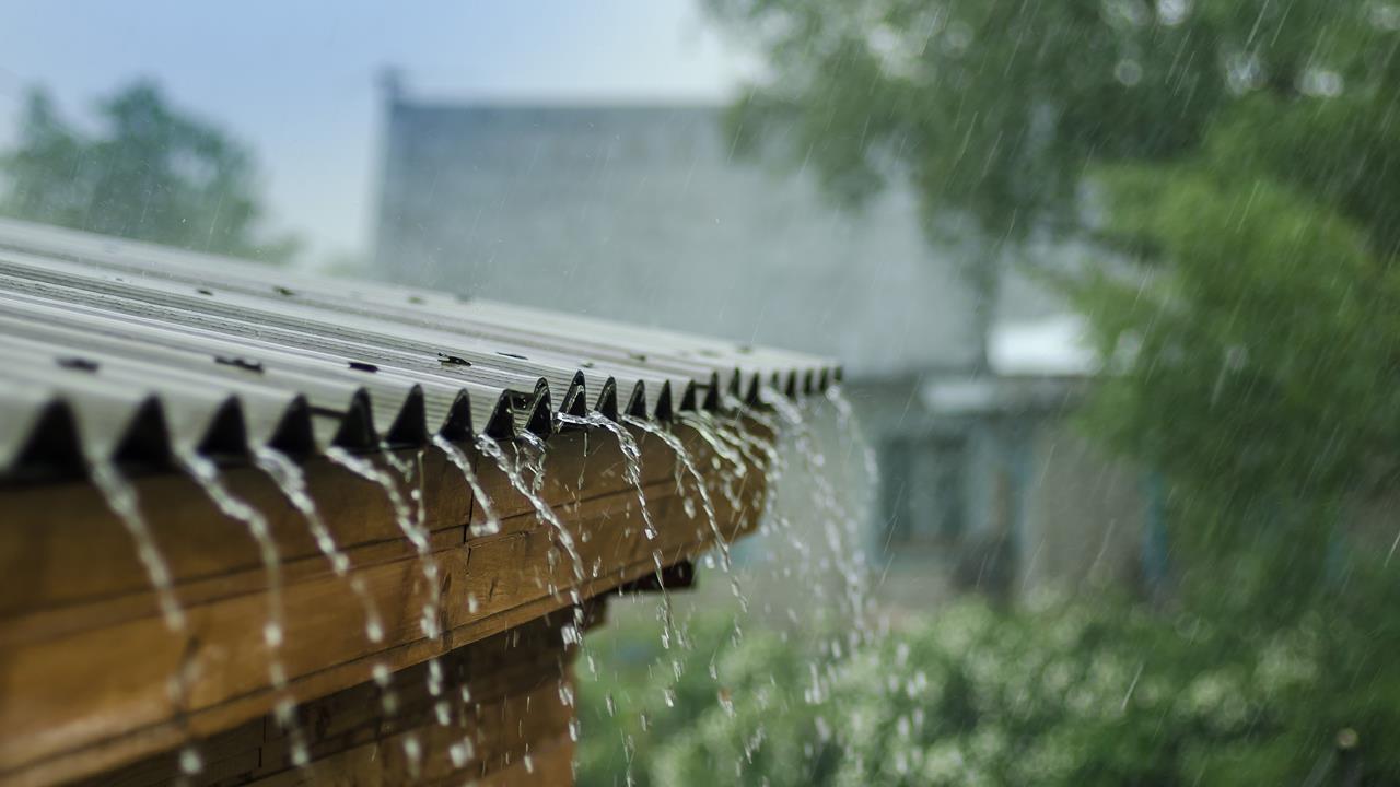 Weather Forecast For June 20: Heavy rainfall in Kerala, Mumbai, Karnataka, Northeast; Delhi will remain hot