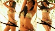 Hate story 2 fame Surveen Chawla looks smoking hot in her latest bikini photoshoot; see sizzling pictures