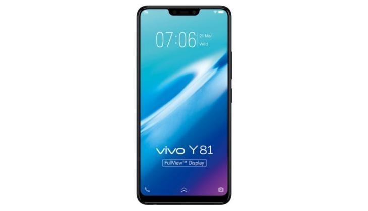 Vivo