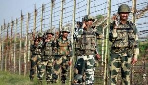 BSF nabs man under suspicious circumstances from Indo-Pak border in Punjab