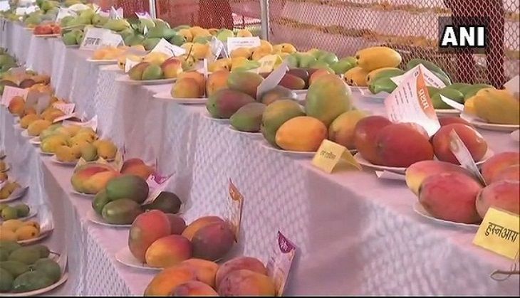 'Yogi aam' star attraction at UP's mango festival