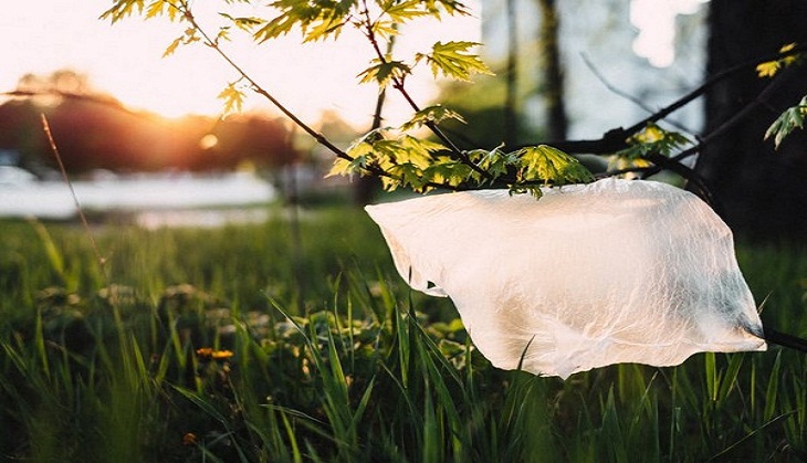 This plastic alternative could solve pollution problem