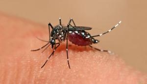 Early warning system to predict dengue possible by mining data 