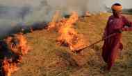 Crop residue burning in North affecting rest of India too: study