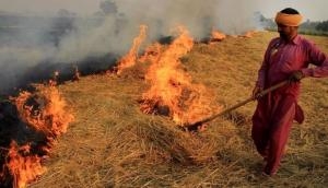 Crop residue burning in North affecting rest of India too: study