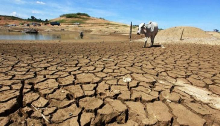 climate change world bank
