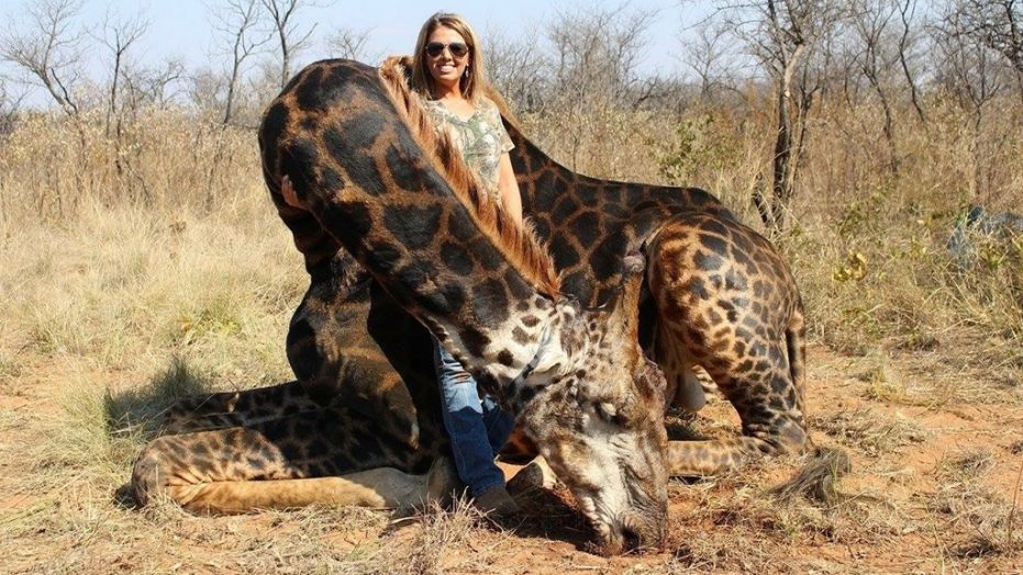 American hunter's black giraffe 'trophy kill' spark outrage online