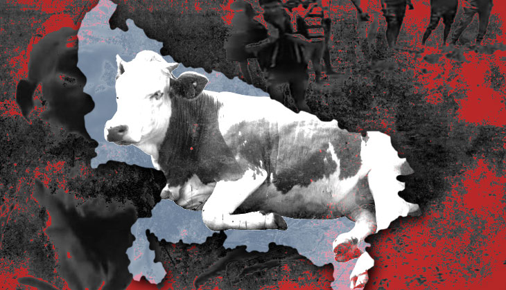 UP Law Commission wants to remove grey areas on cow slaughter. Here's how