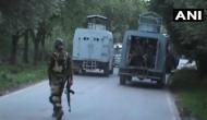 Jammu and Kashmir: Encounter underway in Shopian