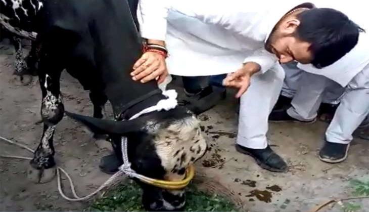tej pratap