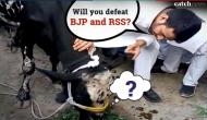 When Tej Pratap Yadav fed a grass to a cow in Bihar's Mahua and asked, 'you will defeat the RSS and the BJP?'