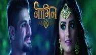Naagin 3: Maahir a 'Naagraj,' Mouni Roy's entry, war between Surbhi Jyoti, Anita Hassanandani; here are all the upcoming twists of the show