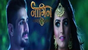 Naagin 3: Maahir a 'Naagraj,' Mouni Roy's entry, war between Surbhi Jyoti, Anita Hassanandani; here are all the upcoming twists of the show