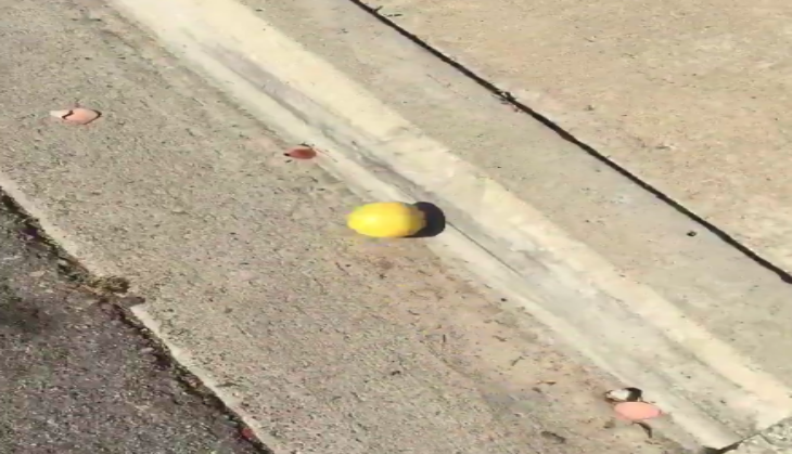 Lemon