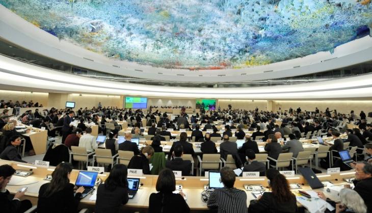 Sexual harassment complaints strain human rights agencies