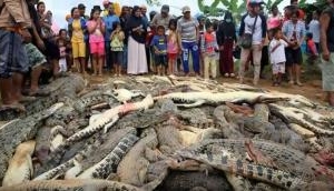 Thai mob slaughtered nearly 300 crocodiles in revenge