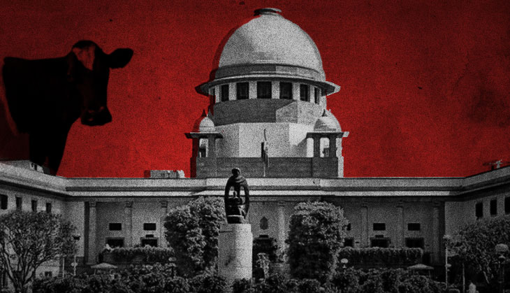 SC says vigilantism is a threat to constitutional order, urges Centre to make a law
