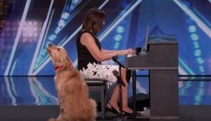 Watch video: Singing golden retriever impressed everyone, including Simon Cowell, on America’s Got Talent