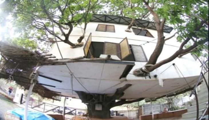 house on tree