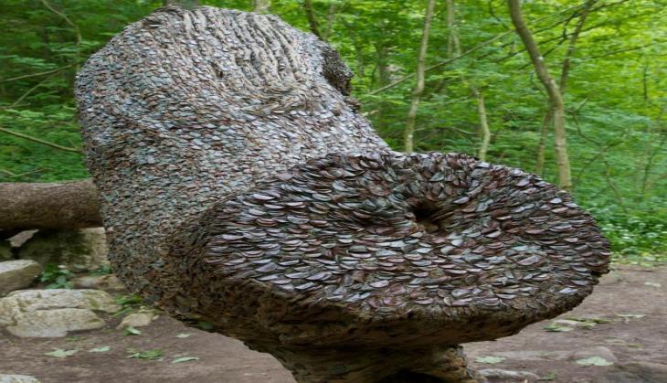 Coins on Tree
