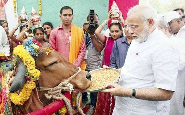 Indian PM Narendra Modi to gift 200 cows to the President of Rwanda