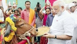 Indian PM Narendra Modi to gift 200 cows to the President of Rwanda