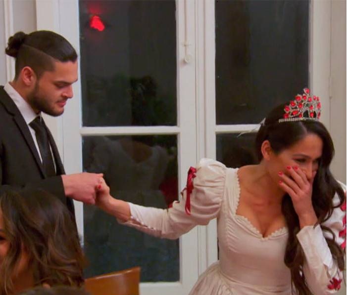 Nikki Bella swept off her feet by Parisian male strippers during bachelorette party