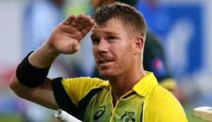 Fans dress as sandpaper to mock David Warner and Steve Smith; see pic