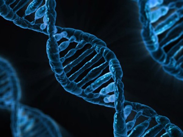 Genes don't affect consumption of calories?