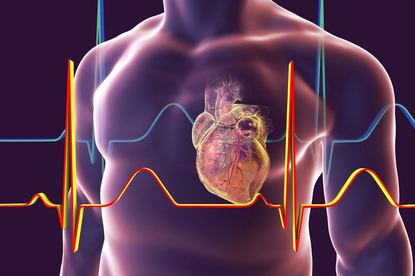 Health device: New calculator to predict heart related disease