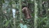 Viral Video: 'World's Loneliest Man' last survivor of Massacred Amazonian tribe
