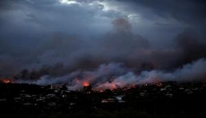 20 killed in Greece forest fires