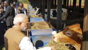 PM Modi gifts 200 cows to Rwanda village