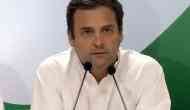 Will support whoever defeats BJP, RSS: Congress chief Rahul Gandhi