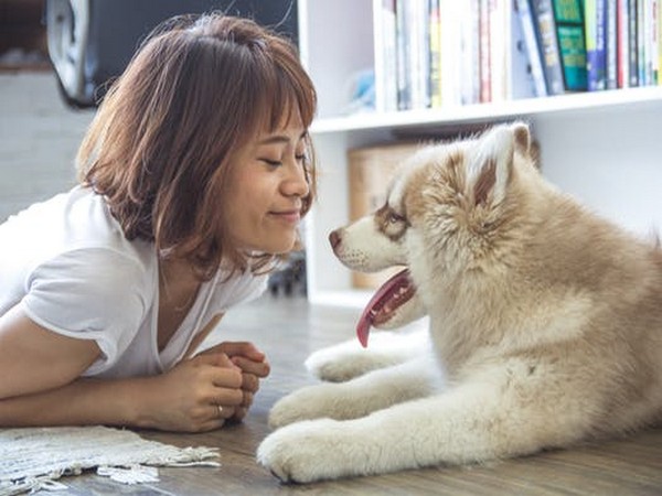 Here's what your dog would do if you were upset