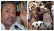 Alwar Mob Lynching: ‘Muslims should think before touching cow’, says BJP leader Katiyar