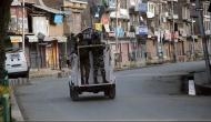 Jammu and Kashmir: 2 terrorists killed in Anantnag encounter