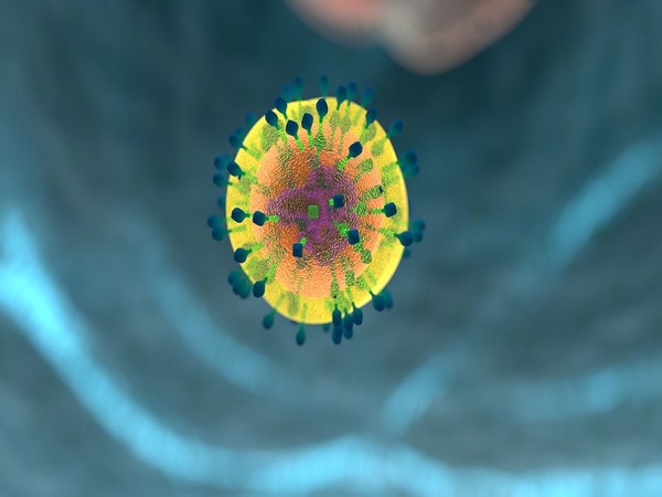 Immune system may cure Alzheimer's disease
