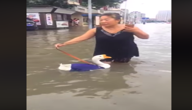 Woman Walking with Duck