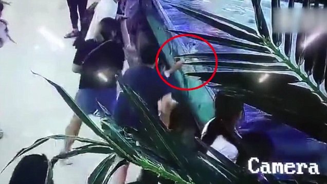 Scary! Shark bites 6-year-old's hand at open-top aquarium in China mall