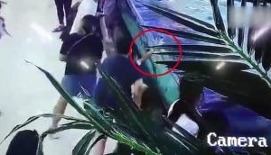 Scary! Shark bites 6-year-old's hand at open-top aquarium in China mall