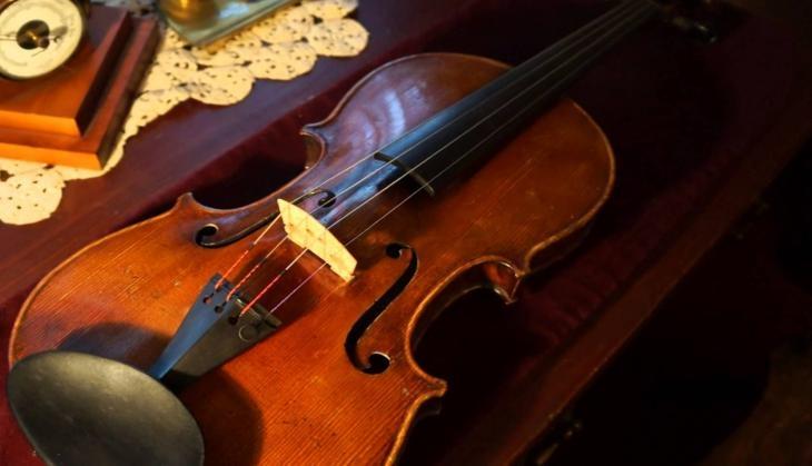 violin
