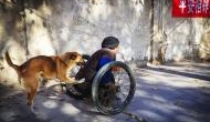 Aww! Watch video of a dog pushing its human’s wheelchair in Philippines