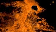 Shocking! Saddened over wife's alleged affair and 'sleazy' video, NRI husband burns her, children and self alive to death