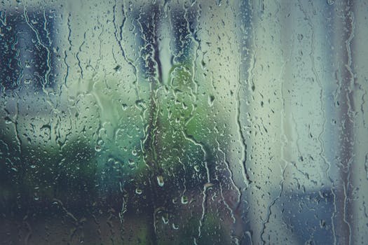 Light to moderate rain likely in Delhi: MeT
