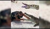 Watch Video: Crocodile attacks zoo-keeper’s hand at Phokkathara Crocodile Farm in Thailand