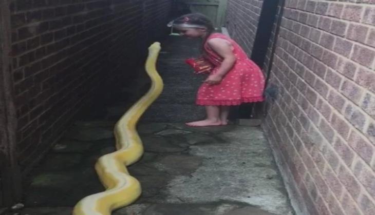 Little Girl with Python