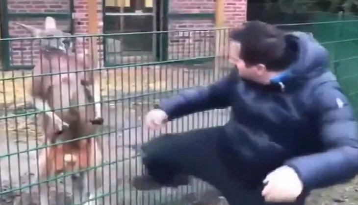 Turkey Zoo