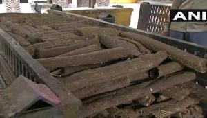 Chhattisgarh: Raipur introduces 'eco-friendly' wood logs for funerals