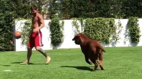 Viral Video: Lionel Messi playing football with his hugeass dog 